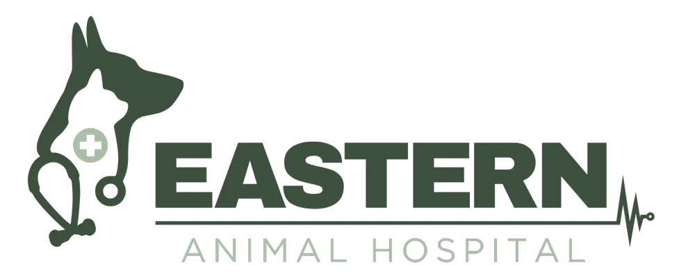 Eastern Animal Hospital